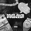 NUR AUS PRINZIP by Veysel iTunes Track 1