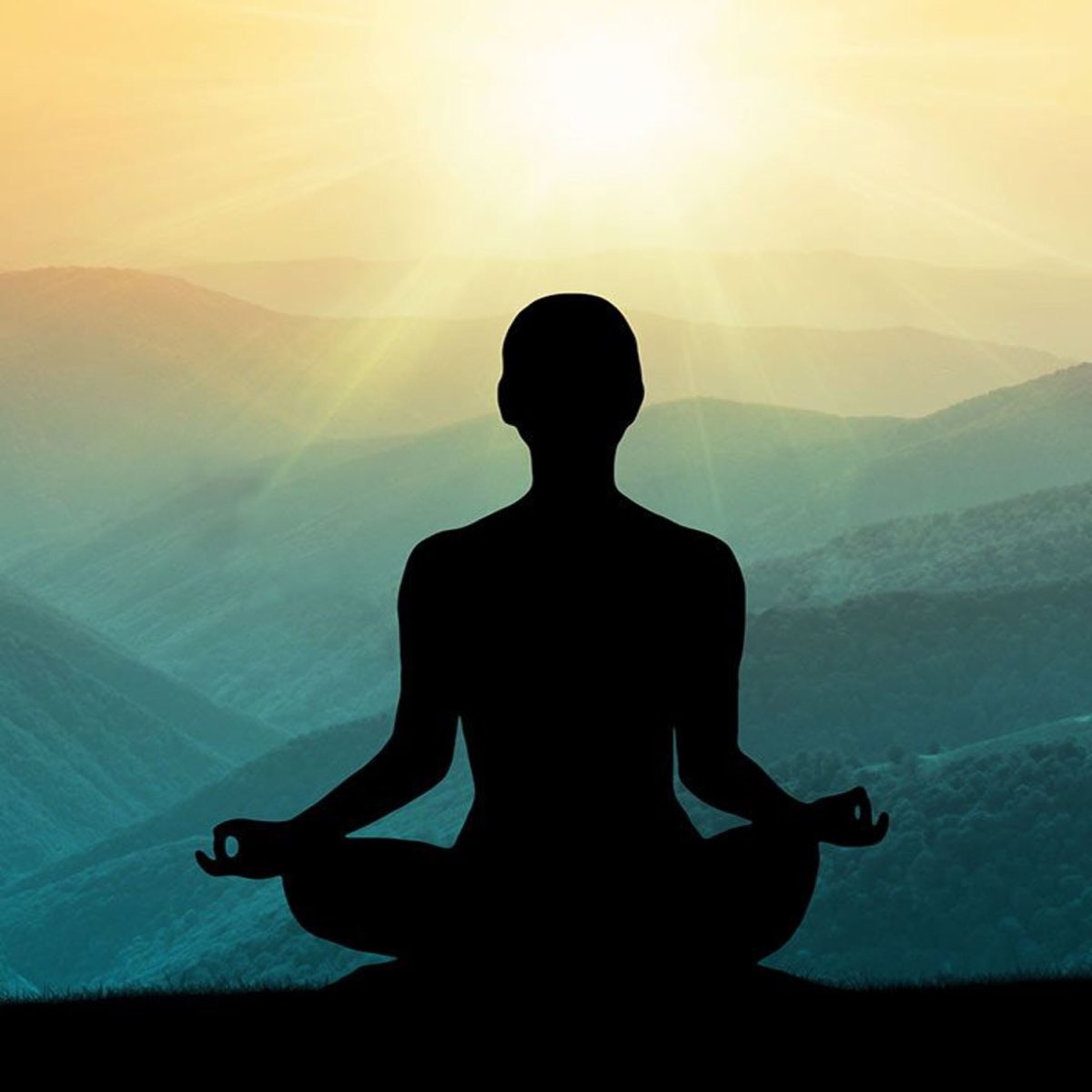Включи медитация 10. Медитация Випассана. Медитация спокойствие. Медитация в одиночестве. Медитация путешествие в будущее.