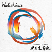 Nabeshima - Imari Tones