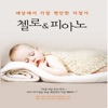 SHILLAMUSIC - 눈의 꽃