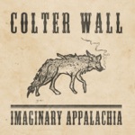 Colter Wall - Caroline (feat. Belle Plaine)