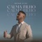 Calma Filho (Playback) artwork