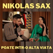 Poate Intr-O Alta Viata artwork