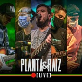 Planta e Raiz (Live) artwork
