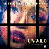 Uvalo (feat. MR LENZO) artwork