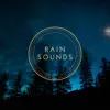 Rain Sounds To Fall Asleep To - EP album lyrics, reviews, download