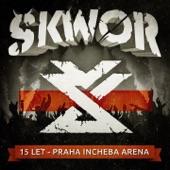 15 Let (Live At Praha Incheba Arena) artwork