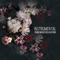 Penguin Cafe - Piano Virtuo lyrics