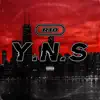 Y.N.S - Single album lyrics, reviews, download
