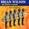 Brian Wilson - Fairhazel lyrics