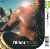 Pure Brazil: The Best of Timbalada - Timbalada