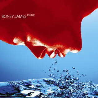 Album herunterladen Boney James - Pure
