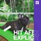 Explicit - Hit Afex lyrics
