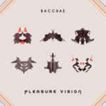 Pleasure Vision