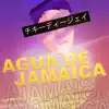 Agua de Jamaica (Remix) - Single album lyrics, reviews, download