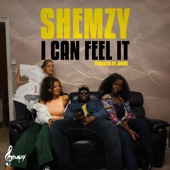 Shemzy - I Can Feel It