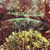 La forêt (feat. Lais Scort) - Single album lyrics, reviews, download