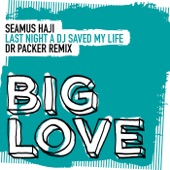Last Night a DJ Saved My Life (Dr Packer Remix) artwork