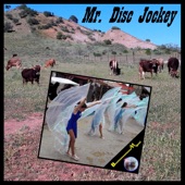 Mr. Disc Jockey artwork