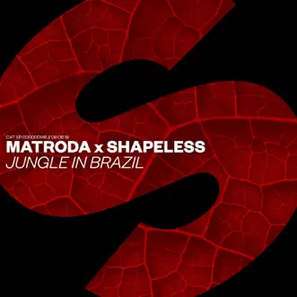 Jungle in Brazil by Matroda & Shapeless song reviws