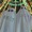 TETON COUNTY FAIR -