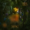 Animal (feat. Youssef Boukella) - Single