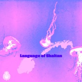 Language of Shaitan artwork