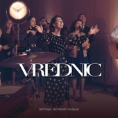 Vrednic artwork