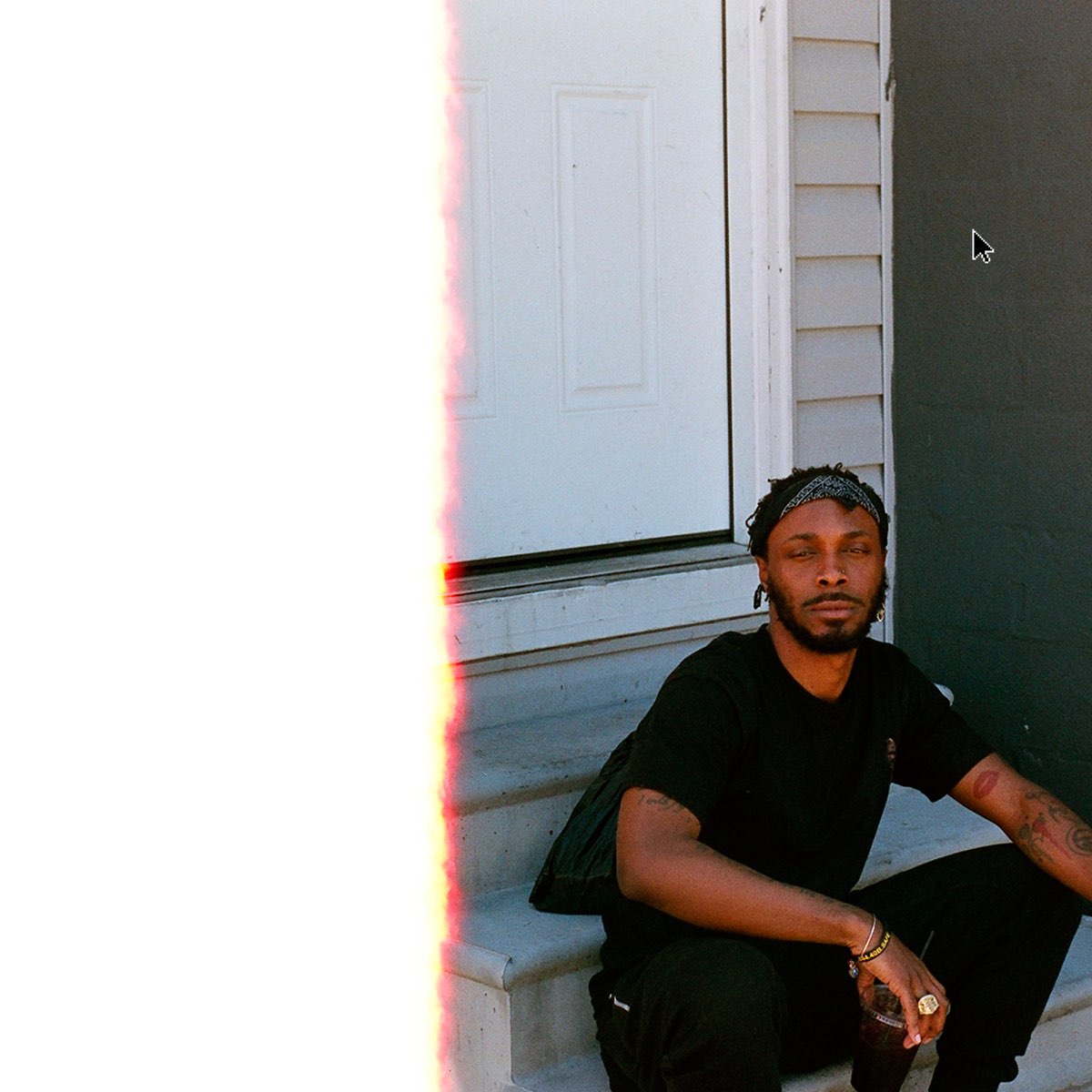 veteran-by-jpegmafia-on-apple-music