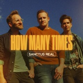 How Many Times artwork