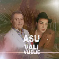 ASU x Vali Vijelie (feat. Vali Vijelie) - EP by Asu album reviews, ratings, credits