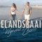 Elandsbaai artwork