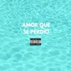 Amor Que Se Perdio - Single