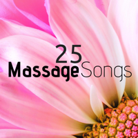 Massage Music Masters & Spa Music - 25 Massage Songs: The Best Music of the Most Beautiful Wellness Centers of the World artwork