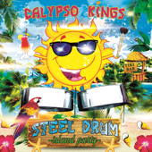 Steel Drum Island Party - Calypso Kings