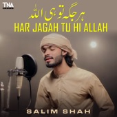 Har Jagah Tu Hi Allah artwork