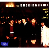 The Buckinghams - Kind of a Drag