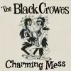 Stream & download Charming Mess - Single