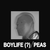 boylife - peas