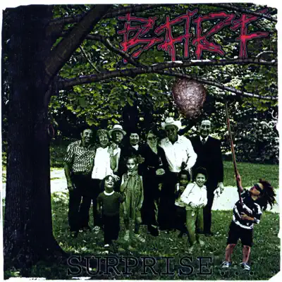 Surprise... - B.a.r.f. Surprise... - B.a.r.f.