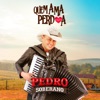 Quem Ama Perdoa (Ao Vivo) - Single