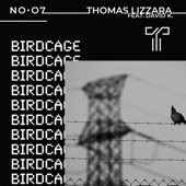 Birdcage artwork