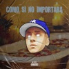 Como Si No Importara (Remix) - Single