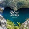 Nature Love - Cricket Sounds & Nature Sounds Collabo & Zen Master, Cricket Sounds, Nature Sounds Collabo & Zen Mas lyrics