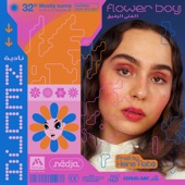 Flower Boy artwork