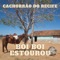 Boi Boi Estourou - Cachorrão do Recife lyrics