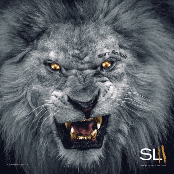Cover artwork for R A R E