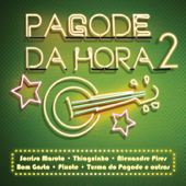 Pagode da Hora 2 - Various Artists