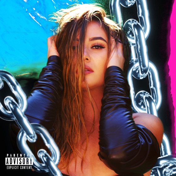 Cover artwork for Attitude