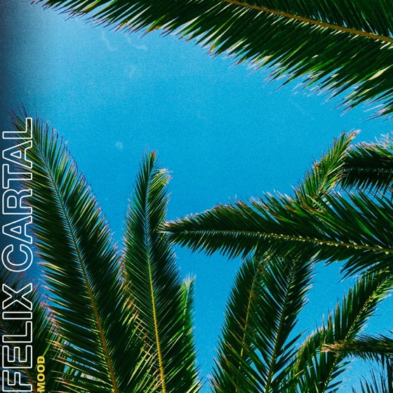 Cover artwork for Mood (Steff Da Campo Remix)